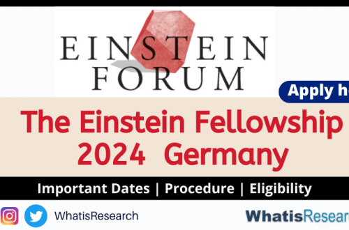 The Einstein Fellowship 2024