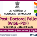 WISE Post-Doctoral Fellowship (WISE-PDF)